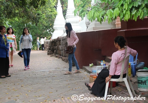 Wat Phnom (62)