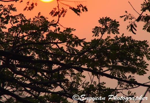 Nice Sunset In Cambodia