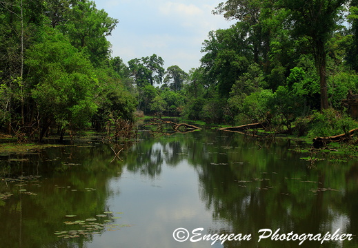 Pond at Prasat Preah Khan (5345)