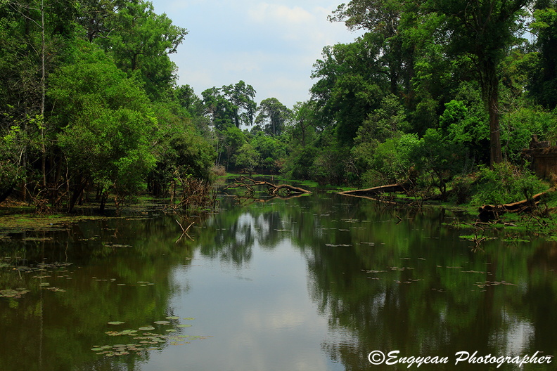Pond at Prasat Preah Khan (5345).jpg