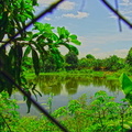 Small pond behind farm (7668).jpg